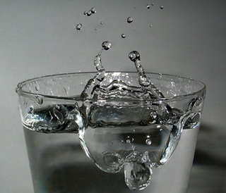 שתיית מים. מקור: ויקיפדיה ברשיון CC3 -by-sa. צילום: Roger McLassus