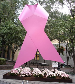 סמל המודעות למחלת סרטן השד. מקור: ויקיפדיה ברשיון cc2-by. צילום: Jason Meredith