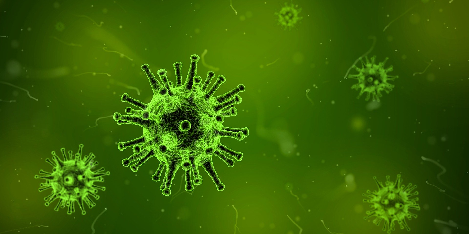 סכנה- וירוס ! צילום : Pixabay Arek Socha