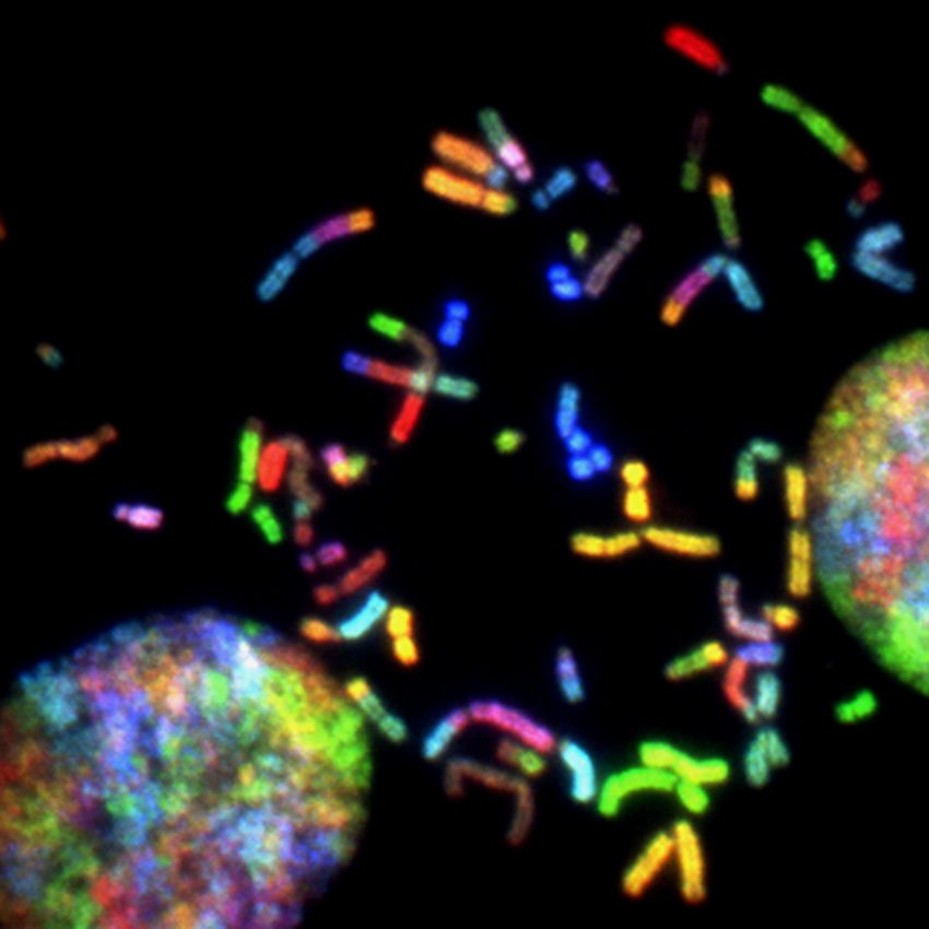 גנטיקה - מהו גן ומה תפקידם של הגנים בתהליכי החיים. צילום: Unsplash. NIH