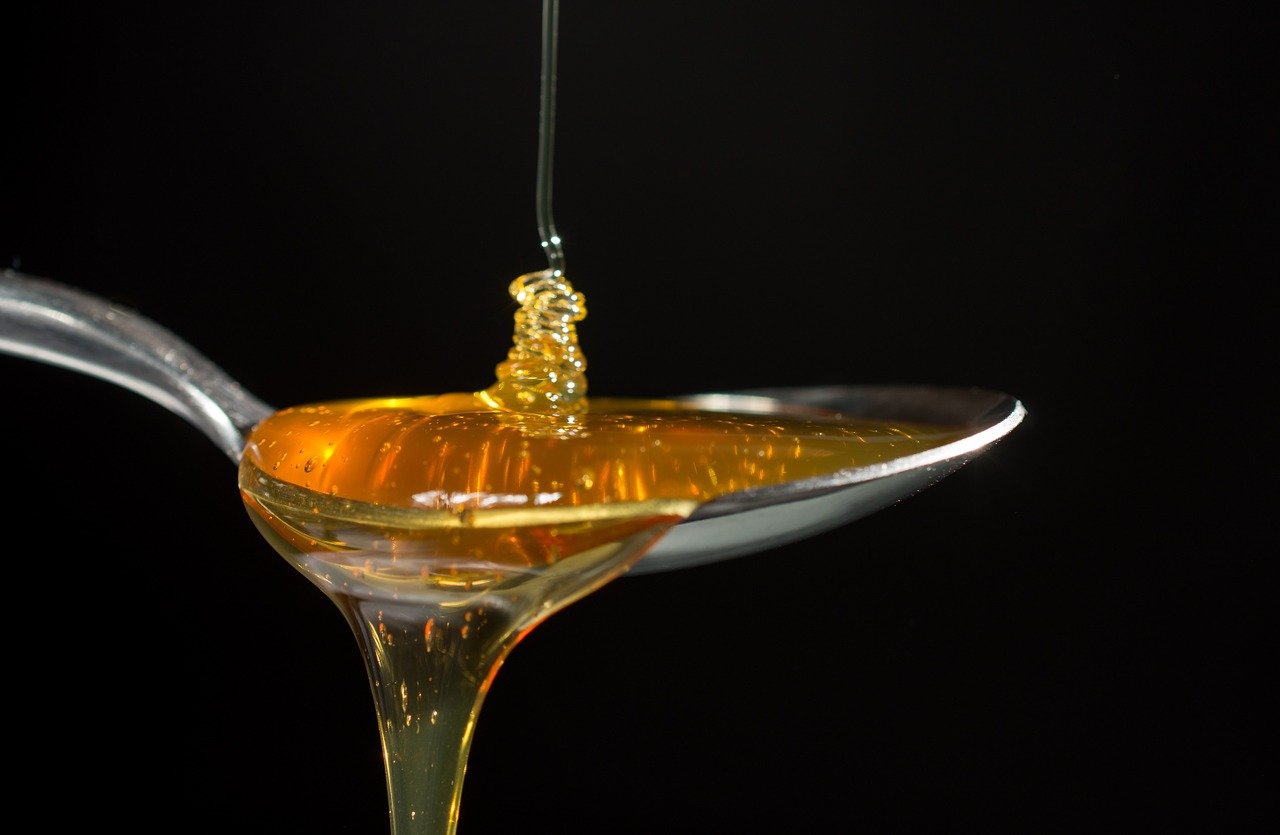 דבש ובצל כנגד צינון כתרופת סבתא. מחקרים מעניקים אישוש לגבי היעילות במעבדה. צילום: Pixabay Hanjörg Scherzer