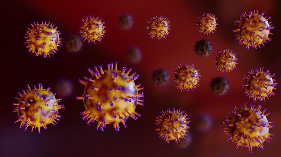 מהו נגיף ? מהו מכיל הנגיף ואיך הגוף מתמודדים עם וירוסים ? צילום: Pixabay MasterTux