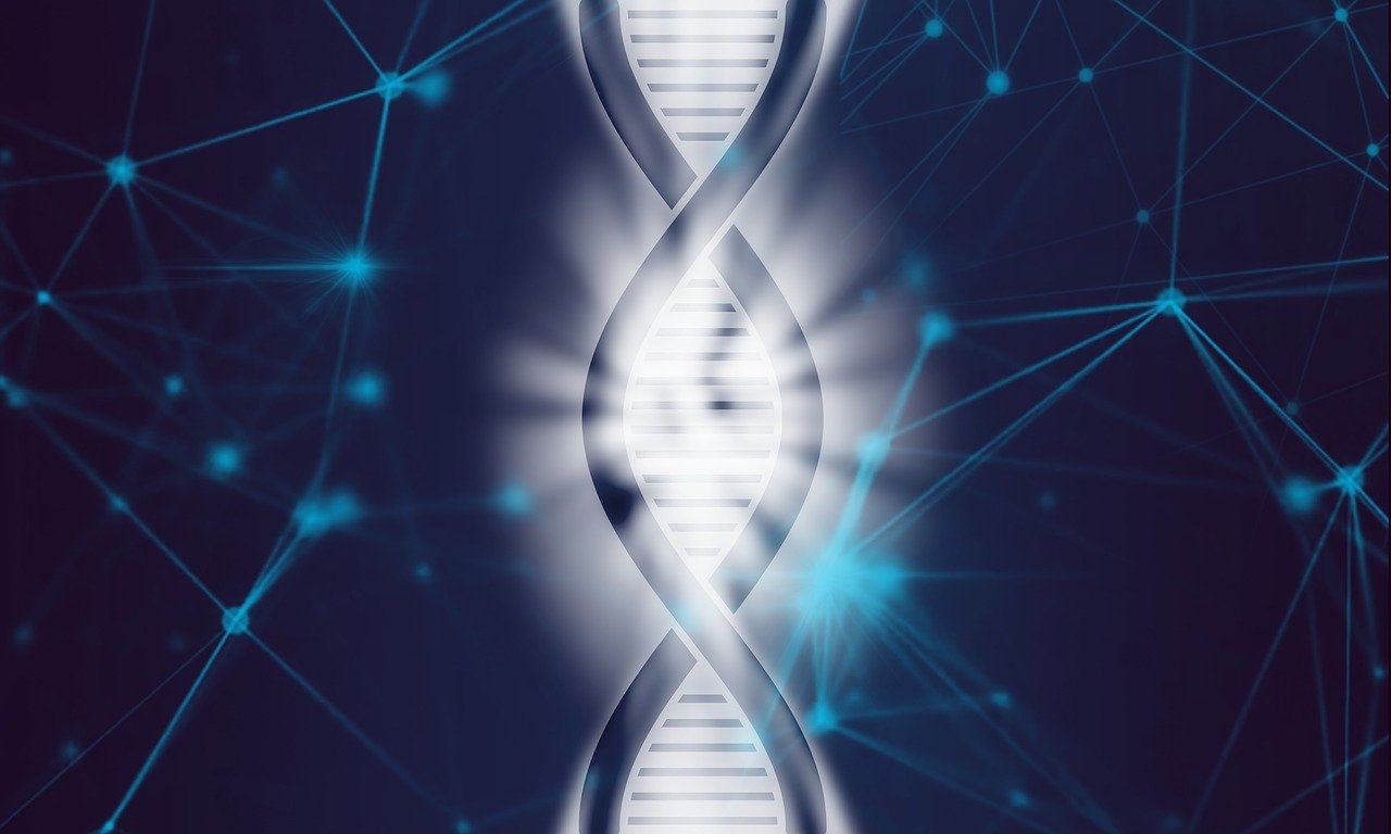 מהו טלומר ומהם תפקידם של טלומרים בתפקוד הגנטי התאי. צילום: Pixabay TheDigitalArtist