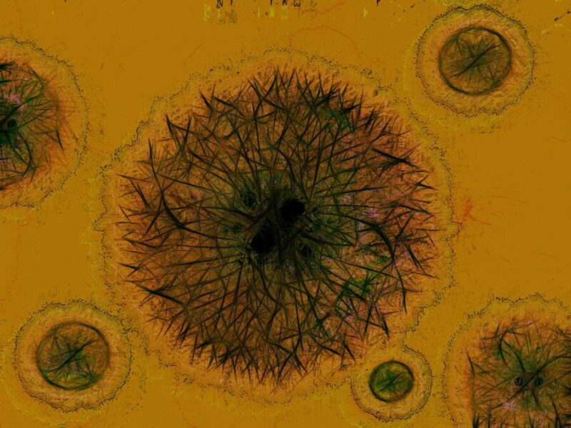 מיהו נשא. מהי נשאות של מחלה. נשאות של וירוסים, חיידקים ופגמים גנטיים. צילום: Pixabay Gerd Altmann