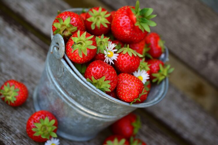 מתי העונה של הפירות והירקות? צילום: Pixabay congerdesign