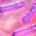 חיידקים טובים וחיידקים מזיקים במערכת העיכול וסגולותיה של פרוביוטיקה. צילום:Lakshmiraman Oza Pixabay